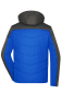 Preview: Winter Jacke - Herren