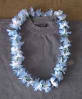 Blumenketten - blau